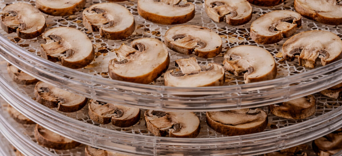 How to Dry Mushrooms Using a Dehydrator
