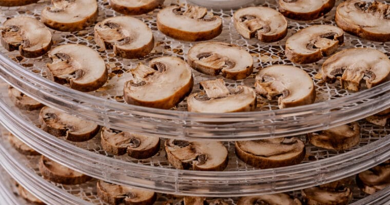 How to Dry Mushrooms Using a Dehydrator