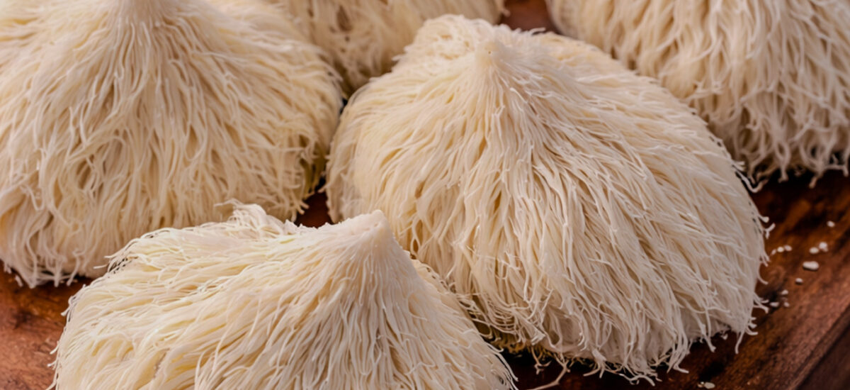How to Cook Lion’s Mane Mushrooms