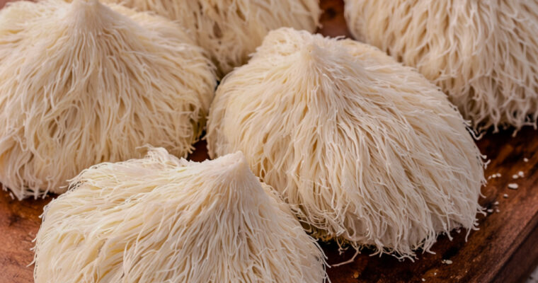 How to Cook Lion’s Mane Mushrooms